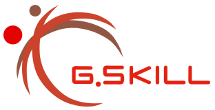 Логотип компании Gskill