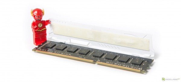 HX318C10FW8