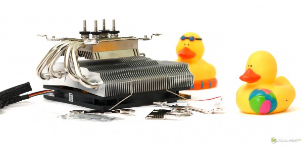BRONTES RC-1001b