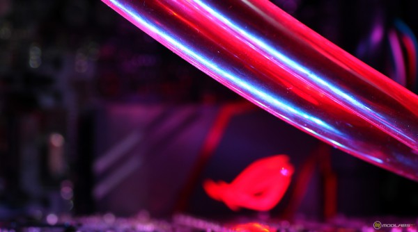 Asus Maximus VIII Gene