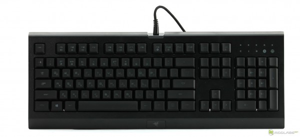 Razer Cynosa Pro Bundle