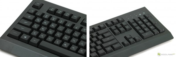 Razer Cynosa Pro Bundle