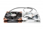 Noctua