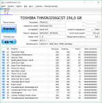 THNSNJ256GCST