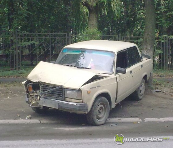 Идиот и дерево