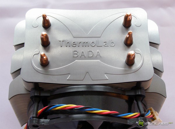 Thermolab BADA