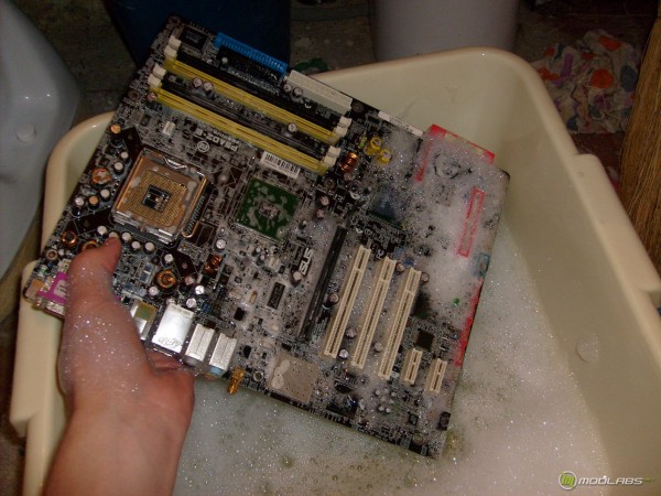 Купаем ASUS