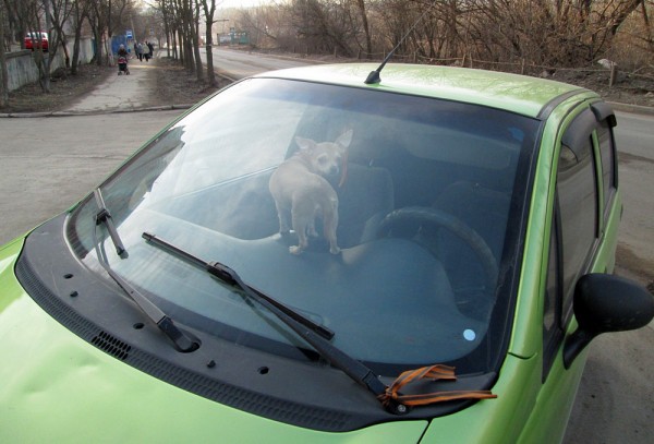 matiz