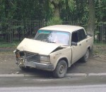 Идиот и дерево