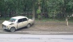 Идиот и дерево