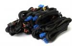 BQT P10-1000W