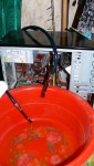 Thermaltake (CL-W0087) Aqua Brazing CPU W1 и asus p5k premium + тазик