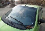 matiz