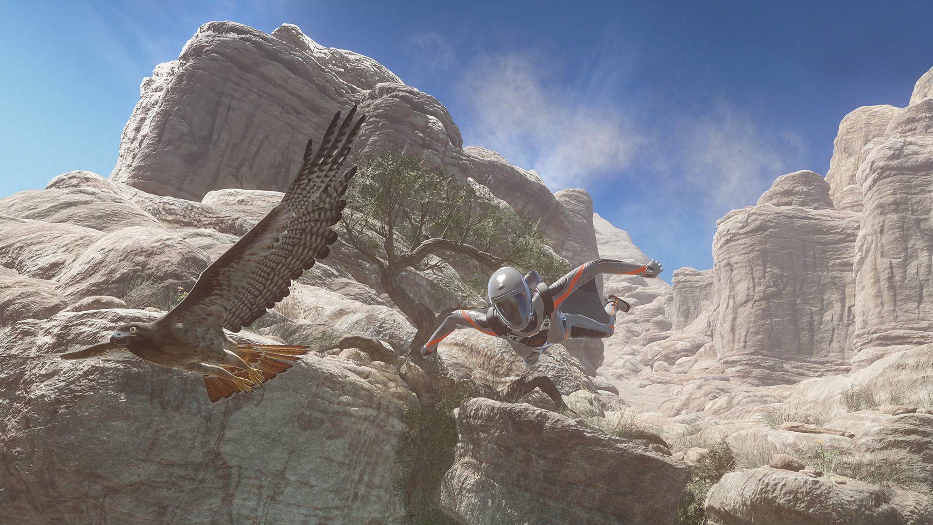 Sky Diver game