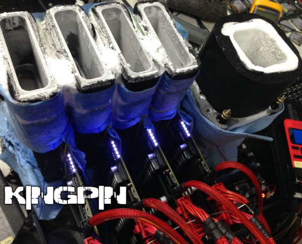 kngpn