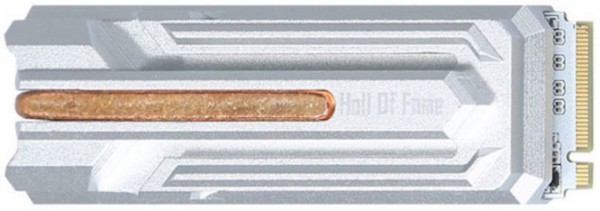 Galaxy Hall of Fame (HOF) M.2 PCIe