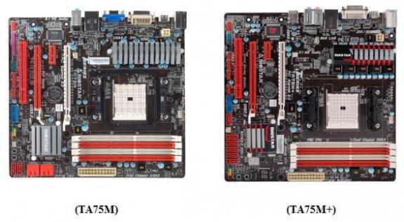 Bioster TA75M+ и TA75M