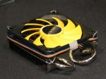 Reeven Vanxie (RC-0801)