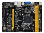 Biostar AM1MHP