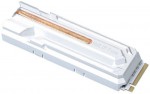 Galaxy Hall of Fame (HOF) M.2 PCIe