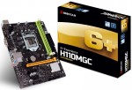 BIOSTAR H110MGC