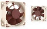 Noctua NF-A6x25