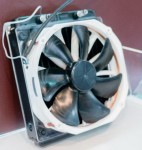 Noctua