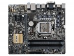 ASUS B150M-A D3